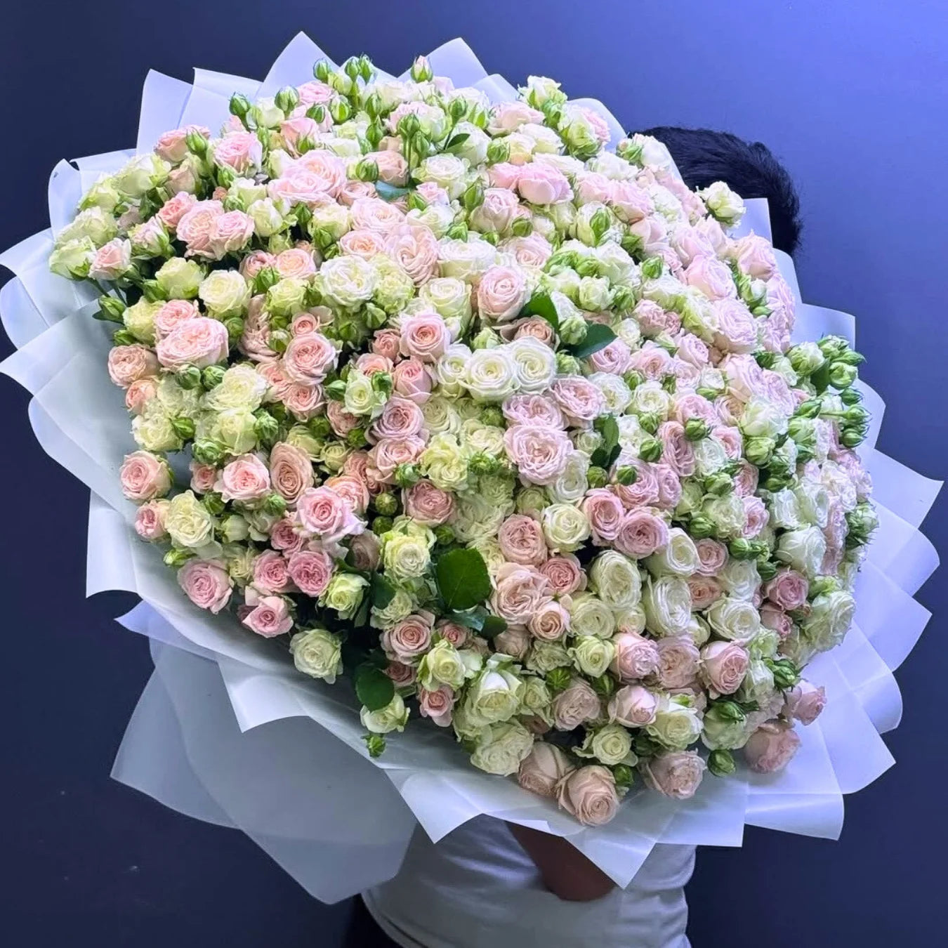 Blush Cascade